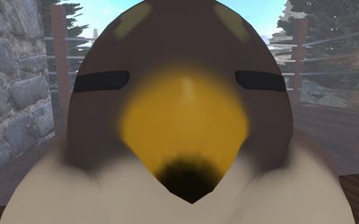 正面突破の鳥ビーム